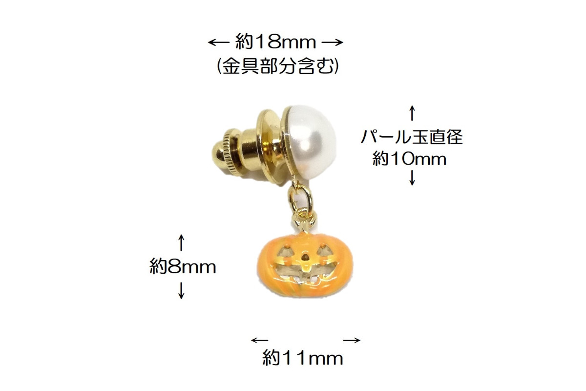 ラペルピン 21012-TKP01の画像